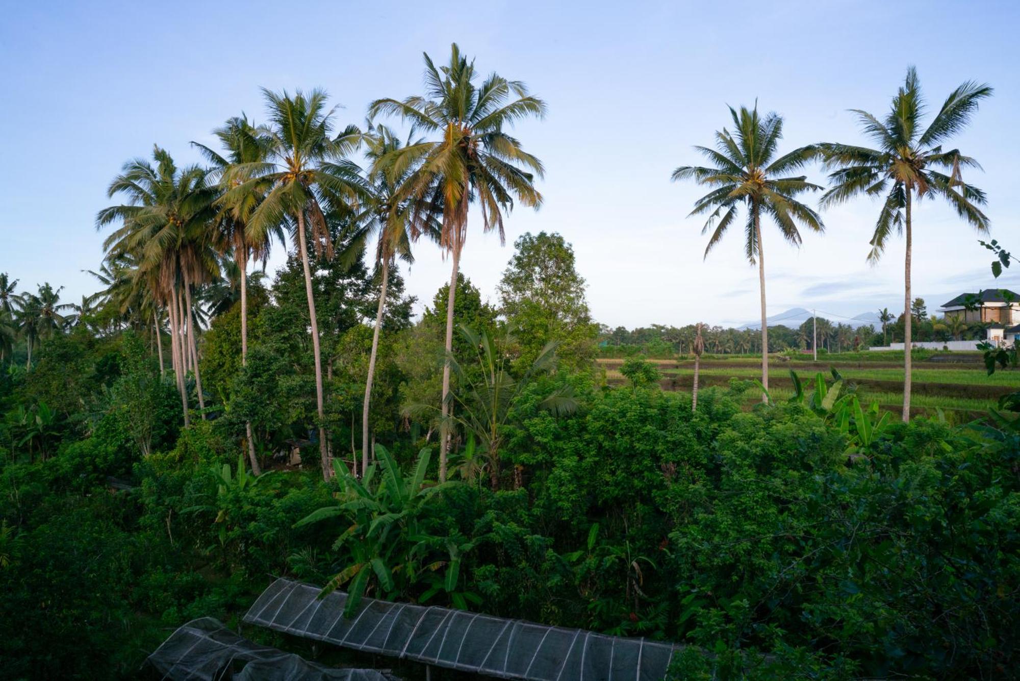 Karang Lila Bhuana Ubud Экстерьер фото